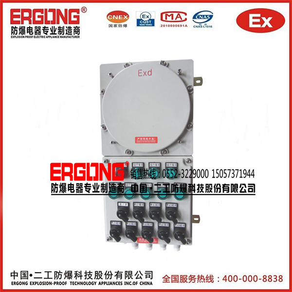 IIC防爆配電箱危險場所專用