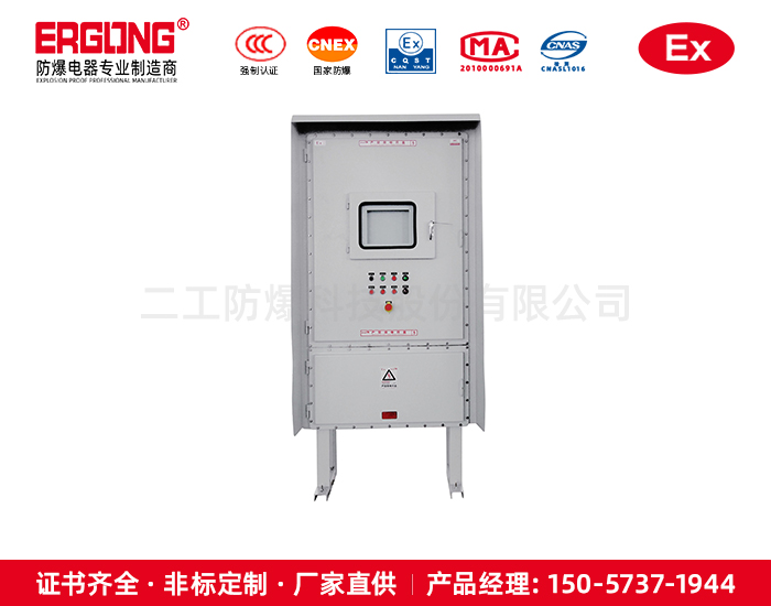 碳鋼隔爆箱帶防護小門易操作