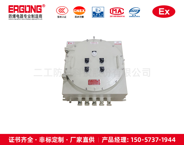 IIC級(jí)控制箱防爆非標(biāo)定制